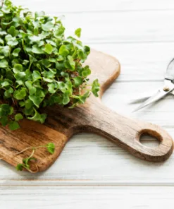 Microgreens