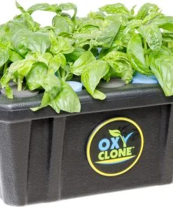 Hydrofarn OxyCLONE 20 Site Cloning Propagation System, Black