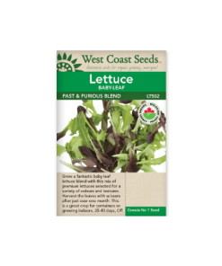Fast and Furious Baby Leaf Lettuce Blend