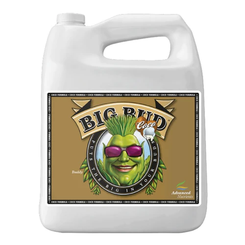 Big Bud Coco - 2
